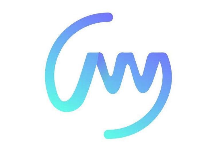 串起技术与价值 从软件开发到信息系统集成的全链路解读
